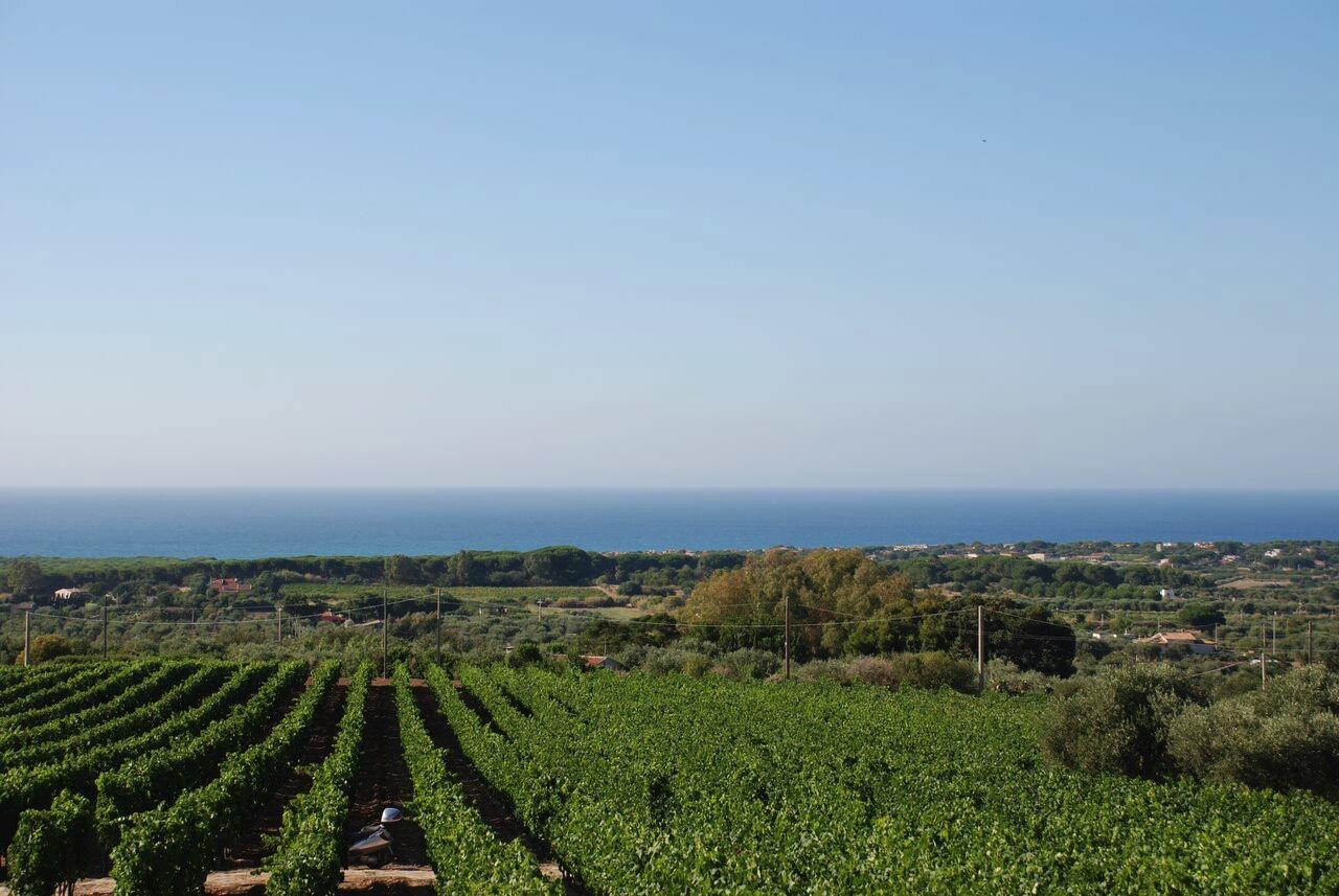 Serra Niedda Resort & Agriturismo Sorso Exterior photo